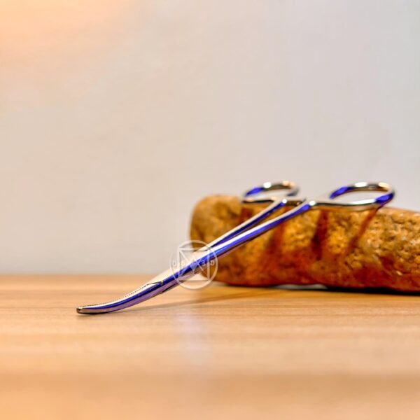 WhatsApp Image 2025-06-25 at 17.46.31