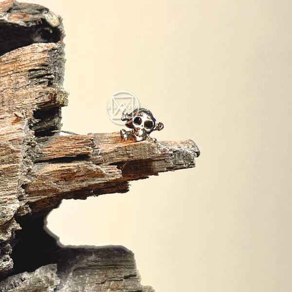 WhatsApp Image 2025-07-02 at 13.52.27 (1)