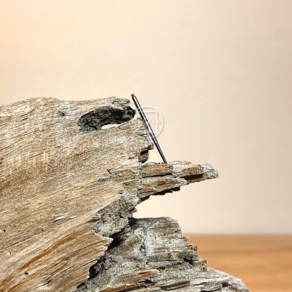 WhatsApp Image 2025-07-02 at 14.38.49