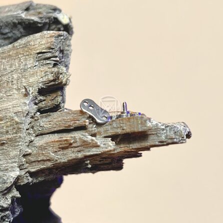 Joia Dermal- (clave De Sol) - Imagem 3