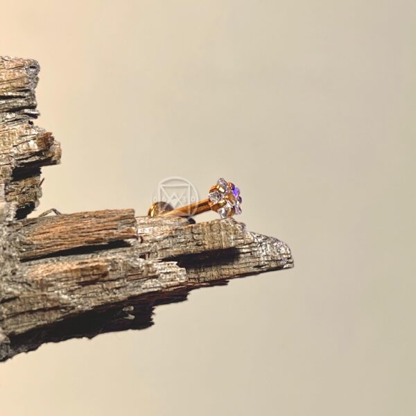 WhatsApp Image 2025-07-02 at 14.52.58