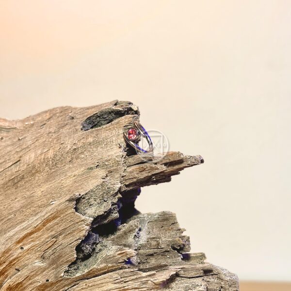 WhatsApp Image 2025-07-02 at 14.54.06