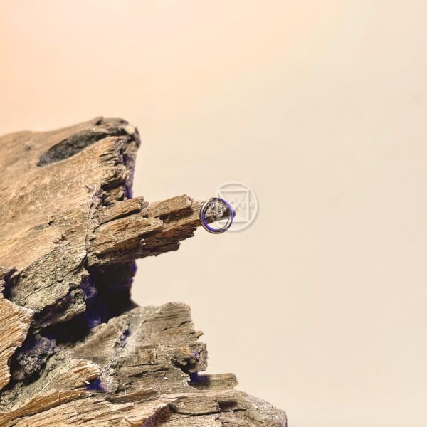 WhatsApp Image 2025-07-02 at 14.55.13