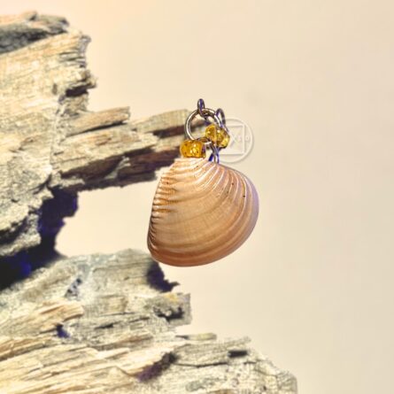 Brinco 0630 Conchas - Par - Imagem 3