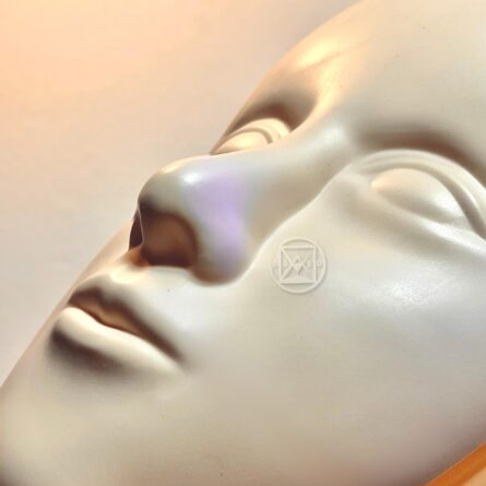 Pele Artificial Com Suporte - Rosto - Imagem 2